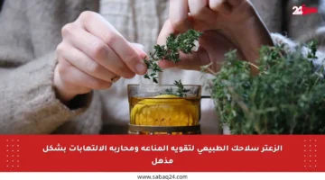 الزعتر سلاحك الطبيعي لتقوية المناعة ومحاربة الالتهابات بشكل مذهل